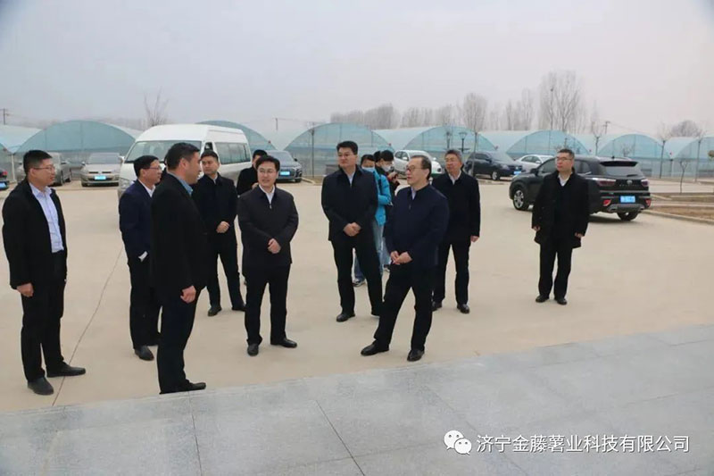 2月24號(hào) 新疆維吾爾自治區(qū)農(nóng)業(yè)農(nóng)村廳二級(jí)巡視員王勇、農(nóng)經(jīng)指導(dǎo)處處長(zhǎng)王盛帶隊(duì)到濟(jì)寧金藤薯業(yè)科技有限公司考察