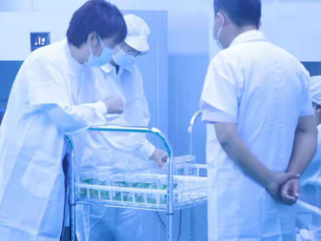 實(shí)驗(yàn)室