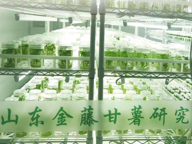 實(shí)驗(yàn)室