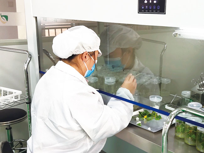 實(shí)驗(yàn)室