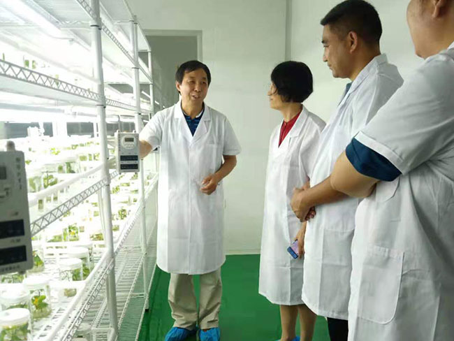 實(shí)驗(yàn)室