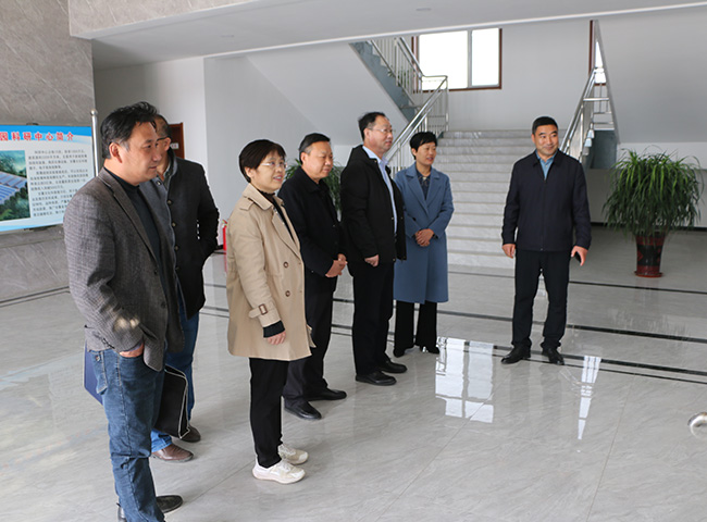 領(lǐng)導(dǎo)實(shí)地考察