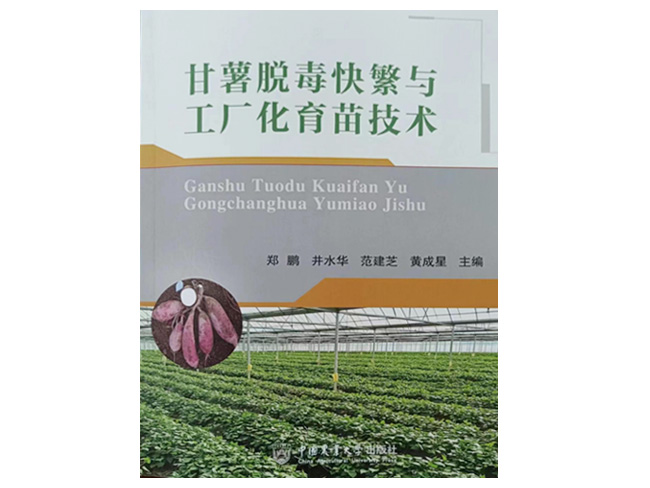 甘薯脫毒快繁與工廠化育苗技術(shù)