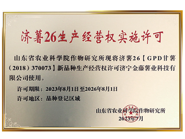 濟薯26生產(chǎn)經(jīng)營權(quán)實施許可