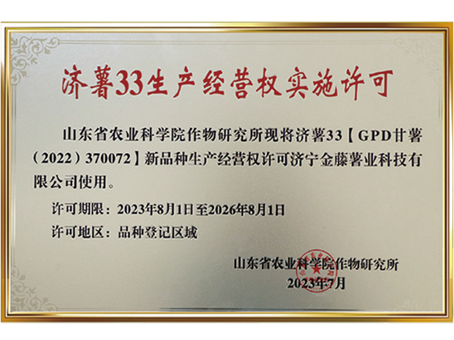 濟薯33生產(chǎn)經(jīng)營權(quán)實施許可